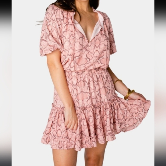 Buddy Love Ray Pink Snakeskin Elastic Waist Short Sleeve Mini Dress Size Medium - Picture 1 of 12